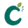 CEDAR WEB WORKS