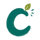 CEDAR WEB WORKS